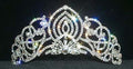 #11920 Small Living Orchid Tiara