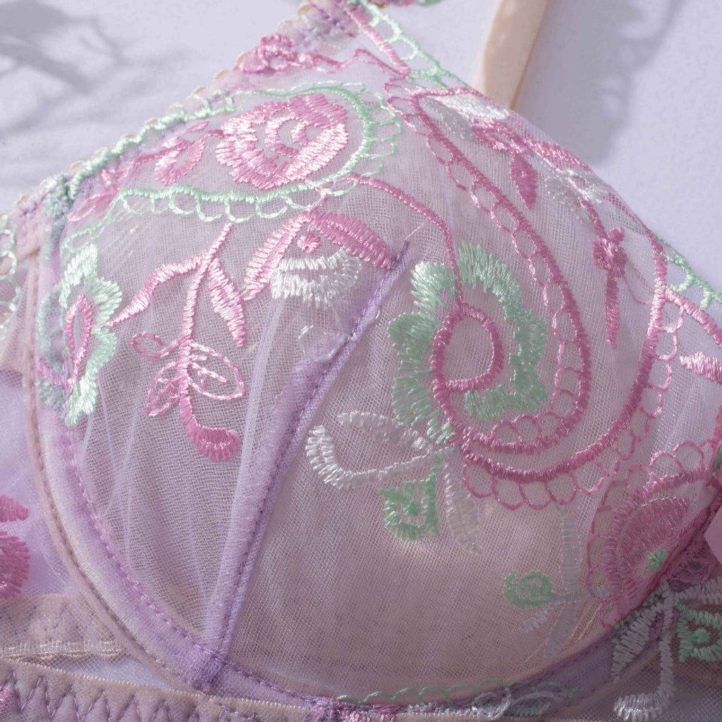 Sheer Mesh Sexy Lingerie Bra Set with Embroidered Flowers Bra Show